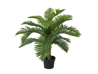 EUROPALMS Cycas Palm Tree, artificial plant, 70cm