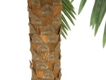 EUROPALMS Phönix Palme deluxe, Kunstpflanze, 250cm