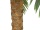 EUROPALMS Phönix Palme deluxe, Kunstpflanze, 250cm