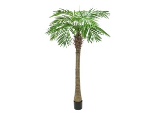 EUROPALMS Phönixpalme luxor, Kunstpflanze, 150cm