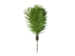 EUROPALMS Phoenix Palm Tree Luxor, artificial plant, 240cm