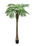 EUROPALMS Phönixpalme luxor, Kunstpflanze, 300cm