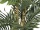 EUROPALMS Kentia Palm Tree, artificial plant, 140cm