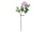 EUROPALMS Peony Branch premium, artificial plant, pink, 100cm