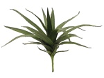 EUROPALMS Aloe (EVA), künstlich, grün, 50cm