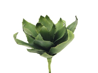 EUROPALMS Agave (EVA), künstlich, grün, 35cm