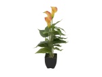 EUROPALMS Calla mini, Kunstpflanze, gelb orange, 43cm