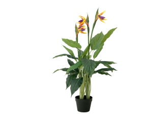 EUROPALMS Strelitzie, Kunstpflanze, 90cm