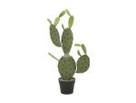 EUROPALMS Nopal cactus, artificial plant, 75cm