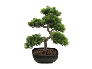 EUROPALMS Bonsai-Pinie, Kunstpflanze, 50cm