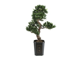 EUROPALMS Bonsai Podocarpus, Kunstpflanze, 80cm