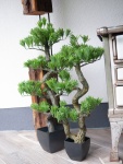 EUROPALMS Bonsai Pinie, Kunstpflanze, 95cm