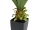 EUROPALMS Agave im Topf, Kunstpflanze, 75cm