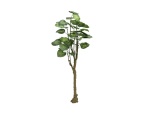 EUROPALMS Pothos tree, artificial plant, 175cm