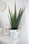 EUROPALMS Aloe-Vera Pflanze, Kunstpflanze, 60cm