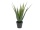 EUROPALMS Aloe-Vera Pflanze, Kunstpflanze, 60cm