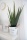 EUROPALMS Aloe-Vera Pflanze, Kunstpflanze, 60cm