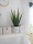 EUROPALMS Aloe-Vera Pflanze, Kunstpflanze, 60cm