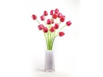 EUROPALMS Kristalltulpe, Kunstblume, rot, 61cm 12x