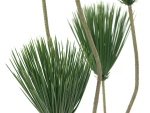 EUROPALMS Papyrus, Kunstpflanze, 130cm