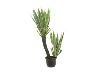 EUROPALMS Orchideen-Kaktus, Kunstpflanze, 160cm