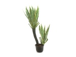 EUROPALMS Orchid-Cactus, artificial plant, 160cm