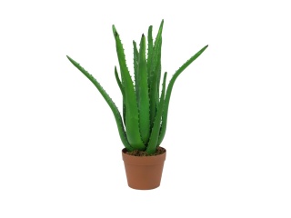 EUROPALMS Aloe-Vera-Pflanze, Kunstpflanze, 63cm