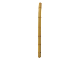 EUROPALMS Bamboo tube, Ø=14cm, 200cm