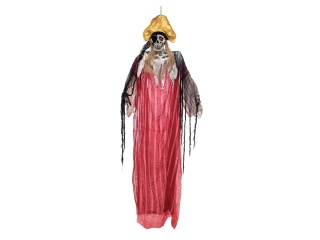 EUROPALMS Halloween Pirat, 170cm