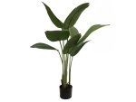 EUROPALMS Strelitzia, artificial plant, 110cm