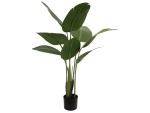 EUROPALMS Strelitzia, artificial plant, 110cm