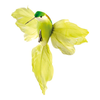 Colibri avec clip Styrofoam, plumes     Taille: 18x20cm    Color: vert