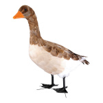 Goose, standing styrofoam with feathers     Size: 56x60cm...