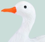Goose, standing styrofoam with feathers     Size: 27x34cm...