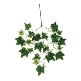Efeuzweig mit 25 Blättern, Kunstseide     Groesse: 70x40cm    Farbe: grün/weiß