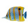 Poisson tropical imprimé des 2 côtés, pour suspendre     Taille: 20x12cm    Color: bleu/jaune