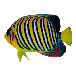 Tropenfisch beidseitig bedruckt, Holz, mit Aufhänger     Groesse: 50x30cm    Farbe: gelb/schwarz