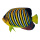 Tropical fish printed double-sided, wood, with hanger     Size: 50x30cm    Color: yellow/black