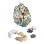 Shells 300g/bag - Material: natural material - Color:...
