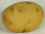 Pomme de terre plastique     Taille: 7x10cm    Color: marron