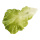 Salatblätter 3Stck./Btl., Kunststoff     Groesse: 16x25cm    Farbe: hellgrün     #