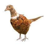 Pheasant  - Material: with feathers - Color: brown -...